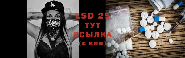 прущий лед Алзамай