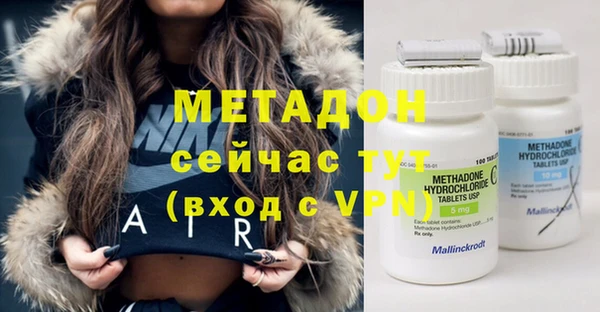 прущие грибы Алексеевка
