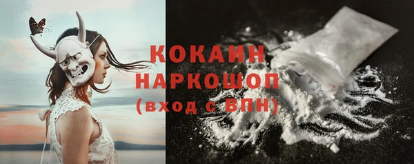 индика Нея
